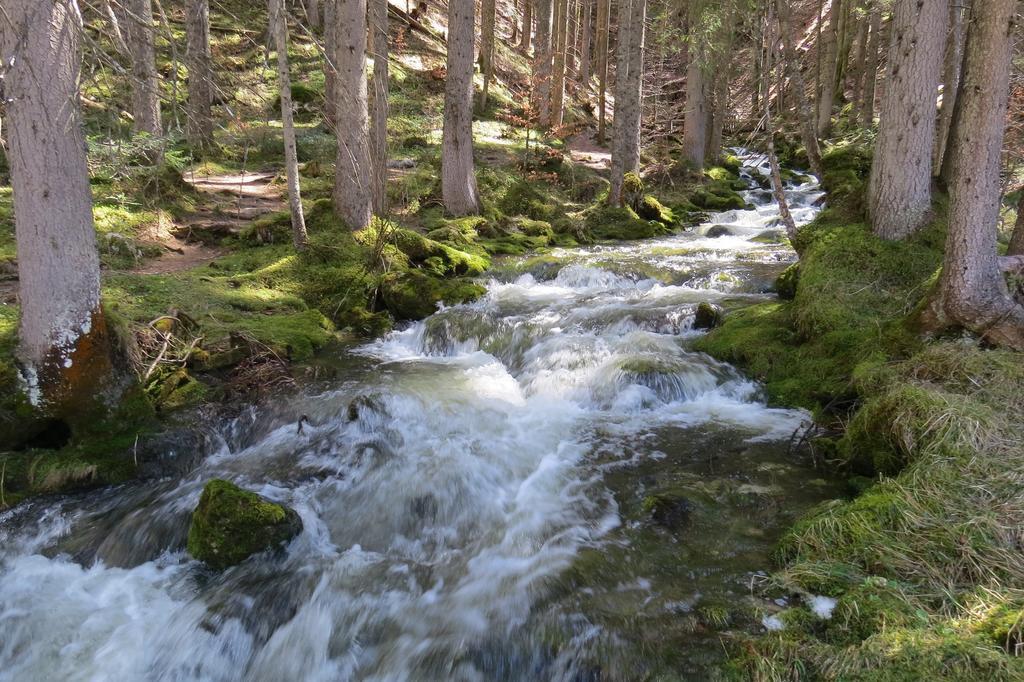 Ferienwohnung Neuper Bad Mitterndorf Zewnętrze zdjęcie