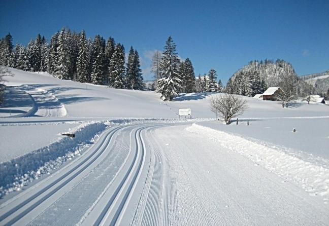 Ferienwohnung Neuper Bad Mitterndorf Zewnętrze zdjęcie